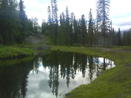 015 Slana Hostel Pond 29th Jun 2010.jpg